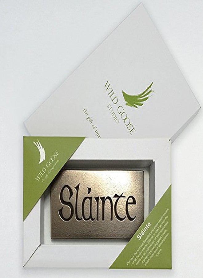 Wild Goose Slainte Bronzed Plaque, 9 x 6 Inches, Traditional Irish Decorative Plaque
